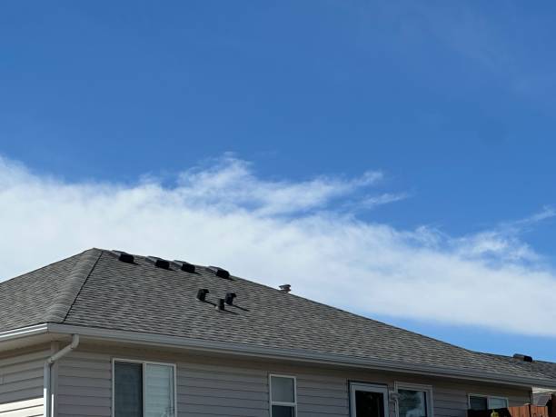 Best Metal Roofing Installation  in Buena Vista, MI
